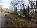 Woodland road junction and boundary stone