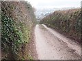 Looking down Higher Woodway Road