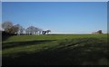 SX3892 : Field near Dubbs Cross by Derek Harper