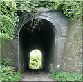 Viaduct at Riding Lane