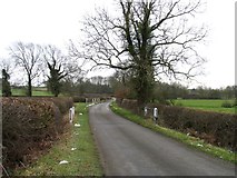 SK6815 : Gaddesby Lane crosses a stream by Andrew Tatlow