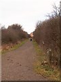 Path north to the village of Wales