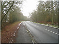 Hitches Lane by Long Copse