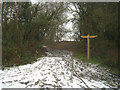 Footpath to Fleet