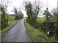 Road at Carryglass