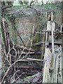 SU1997 : Derelict lock gate, disused Thames and Severn Canal near Dudgrove Farm by Vieve Forward