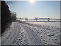 Landscape near Wades Hall