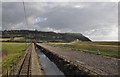 Seaton : Tram Track