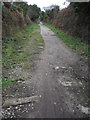 Passing Loop, Portreath Tramroad