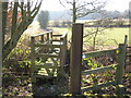 Footpath to New Park Wood