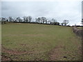 SO3311 : Field below Great House farm, near Penpergwm by Jeremy Bolwell
