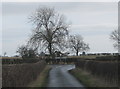 Road from Aldbrough St John joining Dere Street (B6275)