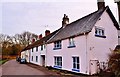 Puddletown:  Colourful Cottages in The Green