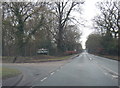 A49 at Abbots Moss Nursery