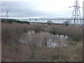 Pond near railway