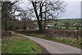 East Devon : Maidenhayne Lane