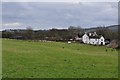 East Devon : Grassy Field