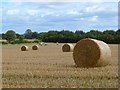 Farmland, Aldbrough