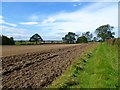 Farmland, Manfield