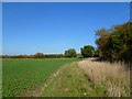 Farmland, Denton