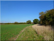 SP5901 : Farmland, Denton by Andrew Smith