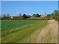 SP6002 : Farmland, Cuddesdon by Andrew Smith