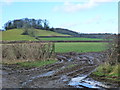 Muddy field entrance, with Willis Hill in the background