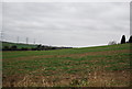 Farmland south of High Halstow