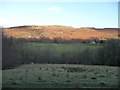 Aberedw Rocks on a February afternoon