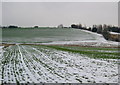 SO9771 : Fields near Bromsgrove by Nigel Mykura