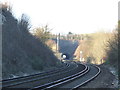 TQ5365 : Railway tracks near Eynsford by Malc McDonald