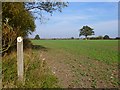 Farmland, Pyrton