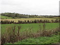 Farmland on the north side of the Clanrye Valley east of Croab Bridge