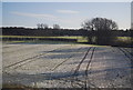 Farmland near Soss Moss Hall