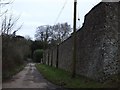 SS5512 : Minor road passing boundary wall of Halsdon House by David Smith