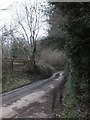 Minor road through Combehouse Wood