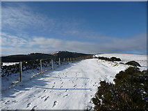 SJ1763 : Path on Ffrith Mountain in winter with Moel Famau above by Jeremy Bolwell