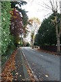 Autumn leaves in Kidmore Road