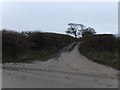 Access road to Chapple Farm