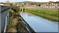 The canal, Newtownards (5)