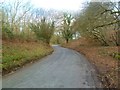 Harbridge, Kent Lane