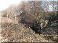 Remains of a lock on the disused Barnsley Canal