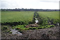 Drainage channel on Fishwick Bottoms