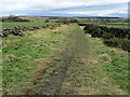 Restricted Byway leading into Haverah Park