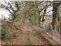 Llwybr troed Cwmygigfran footpath, Cwmdu