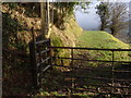 Llwybr troed Cwmcochied footpath, Cwmdu