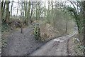 Path to Trans Pennine Trail