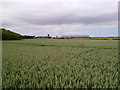 Looking across the fields towards Little Isle