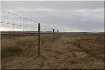 NR3170 : Deer Fence east of Killinallan, Islay by Becky Williamson