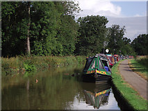 SJ6452 : Shropshire Union Canal near Nantwich, Shropshire by Roger  D Kidd